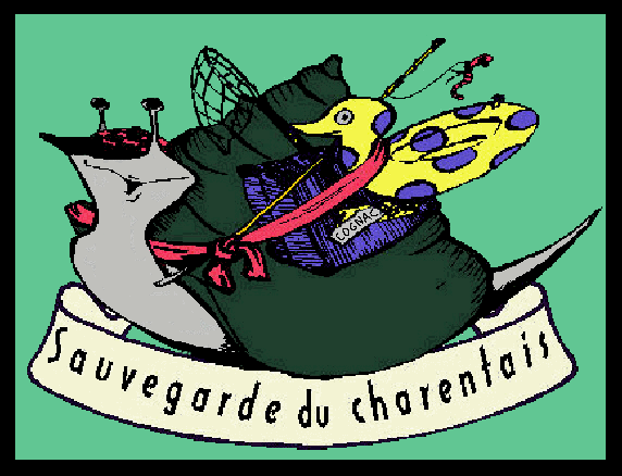 Premier site internet de sauvegarde du Charentais